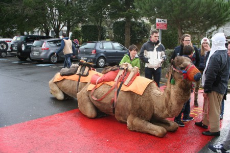 si on les suit , on est pas encore arrivé à Ouarsasat
